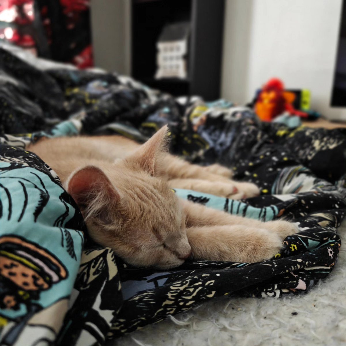 violetnelson25k's tweet photo. During the servant’s toddler’s nap time, I thought I’d imitate them. https://t.co/ieXiB1bBYb
