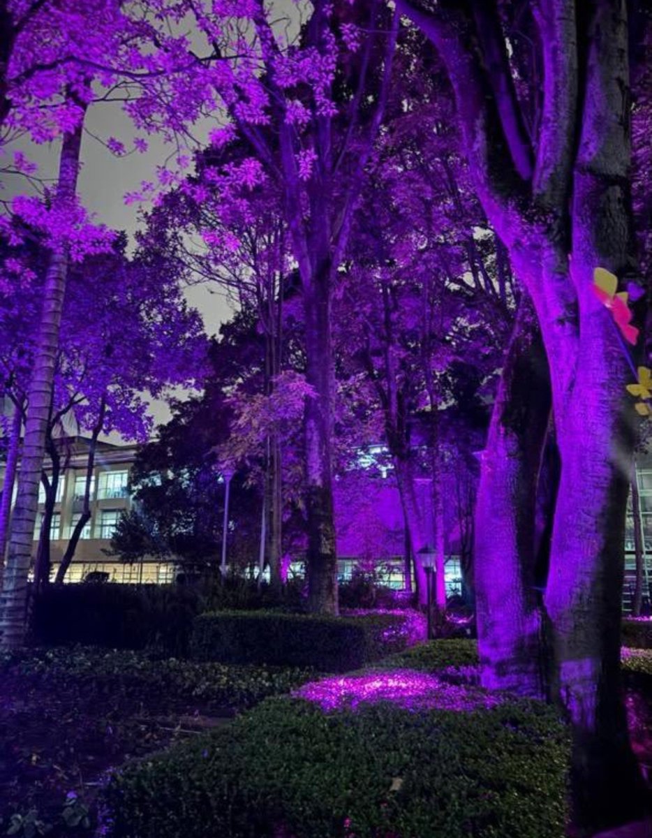 jnfication's tweet photo. Boragotá is coming 💜 https://t.co/FFJ48AaHXu