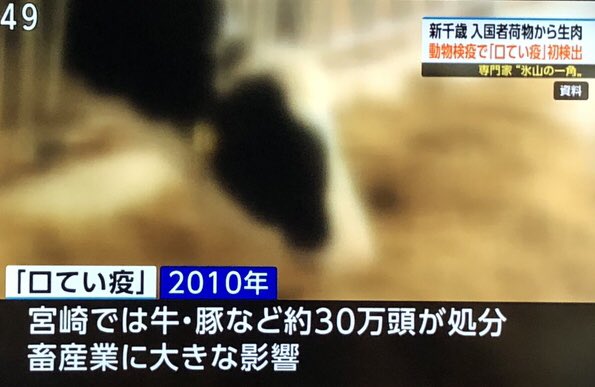 syouko223's tweet photo. @momotro018 千歳空港で見つかった中国人観光客の持って来た　危険物
調べたら『口蹄疫』

海外からのモノは１００％安全とかは無い

だから、アメリカ産じゃがいも🥔は不安なんだよ https://t.co/vyrdWDJdnI