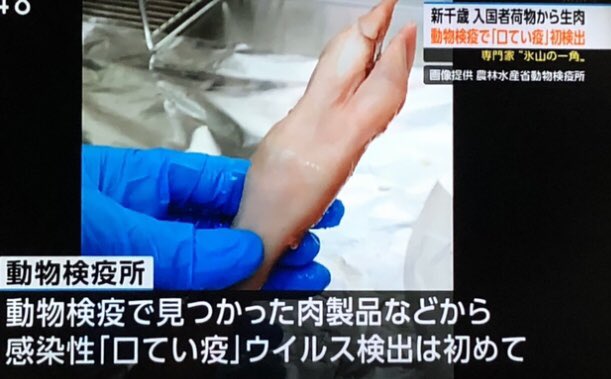 syouko223's tweet photo. @momotro018 千歳空港で見つかった中国人観光客の持って来た　危険物
調べたら『口蹄疫』

海外からのモノは１００％安全とかは無い

だから、アメリカ産じゃがいも🥔は不安なんだよ https://t.co/vyrdWDJdnI
