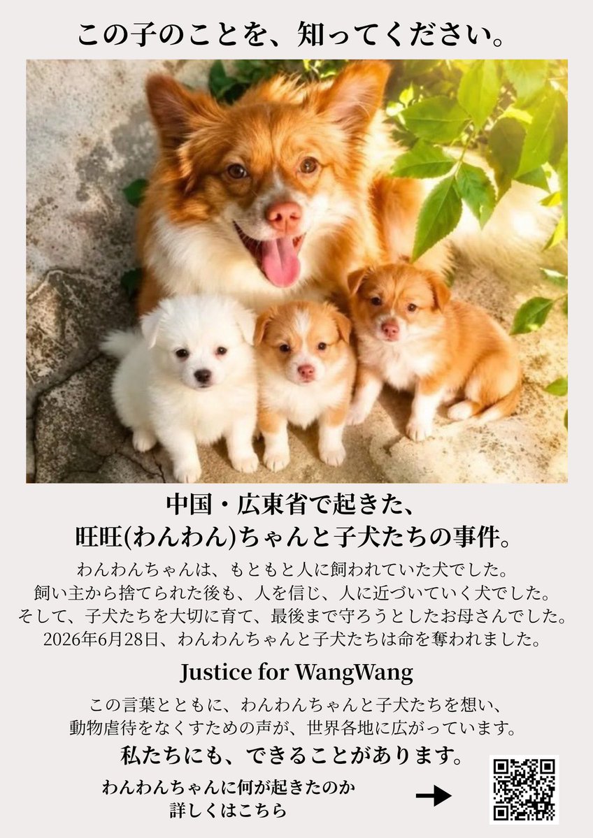 doglove39's tweet photo. まだまだ足りません。何千いいね行こうと、トレンドに入るくらいの話題なら何万いいねと拡散が行われています。本日のニュースは一人一人が興味を持っている情報が大きく表示されているだけです。もっと広めましょう

#犬
#犬好き
#動物
#justiceforWangWang https://t.co/VHPtr3jNCL