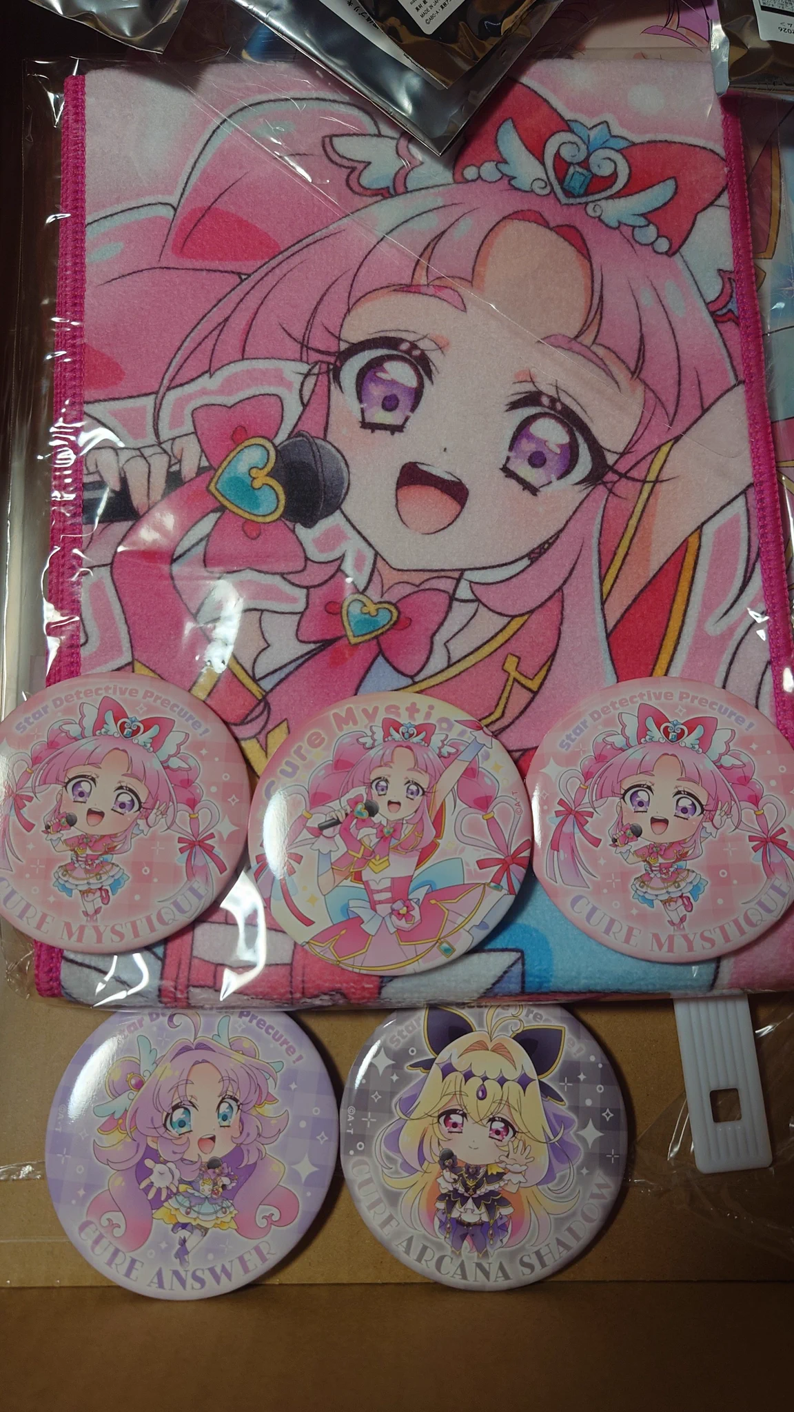 風忍馬風破@プリキュアランド津島店店長 コダック保護委員会愛知県本部