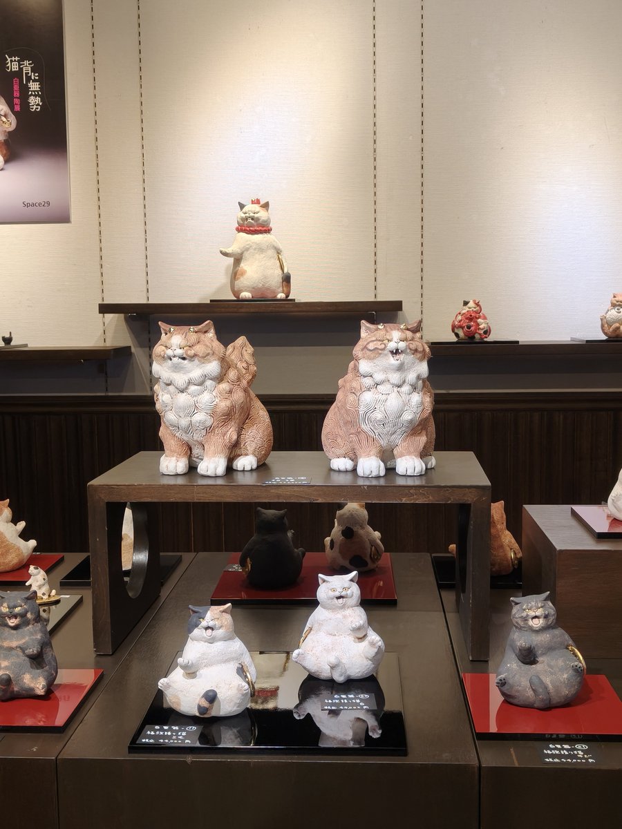 hakua_ki's tweet photo. はじまりました！
白亜器陶展　「猫背に無勢」

よろしくお願いします https://t.co/5z1v65EqgQ