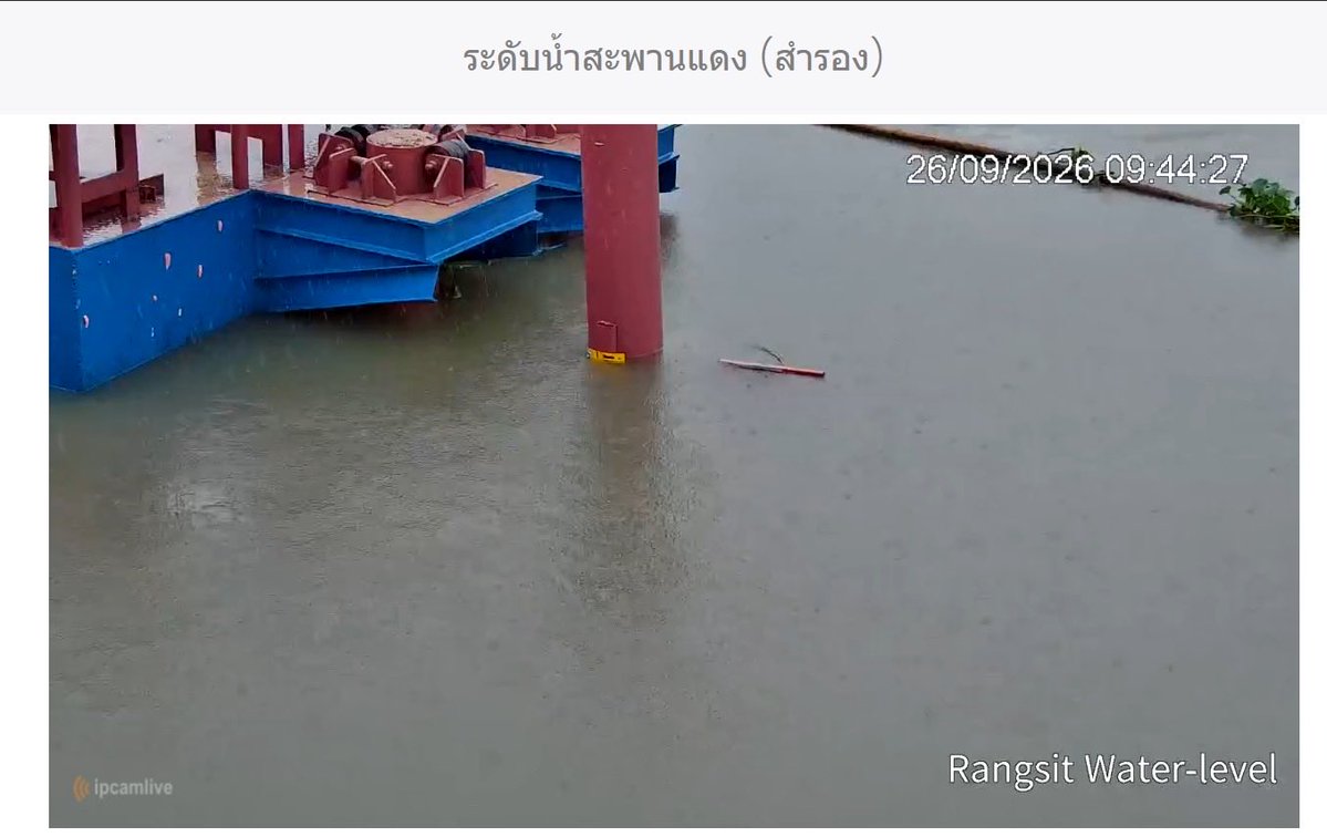 pippostudio's tweet photo. แถวรังสิต น้ำในคลองยิ่งกว่ายกธงแดงล้นคลองแบบสับสับ 26/9/2026 เวลา 9.44 น https://t.co/4nwPMhi9sy