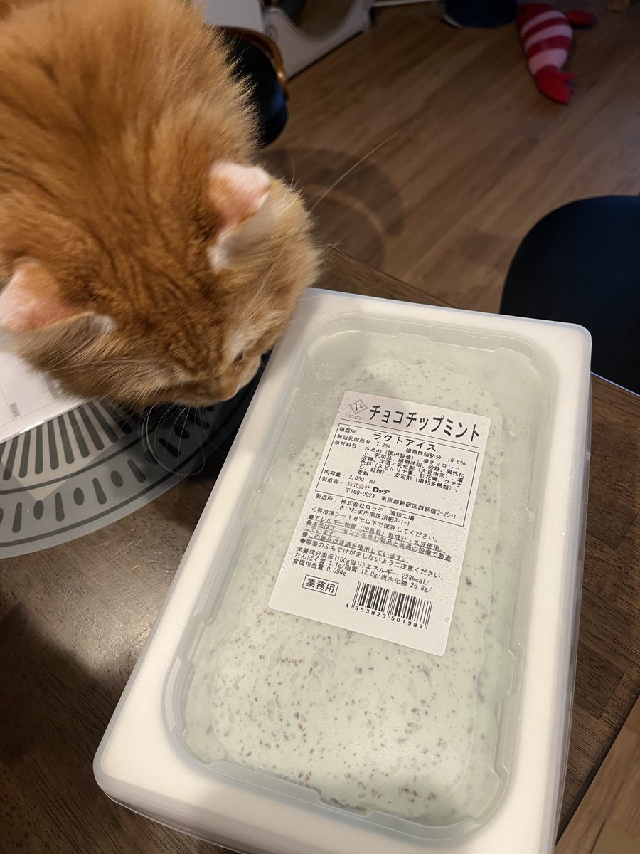 futari_dan's tweet photo. チョコミント好き、2人揃うと業務用(狂) https://t.co/gArEQSxjWV