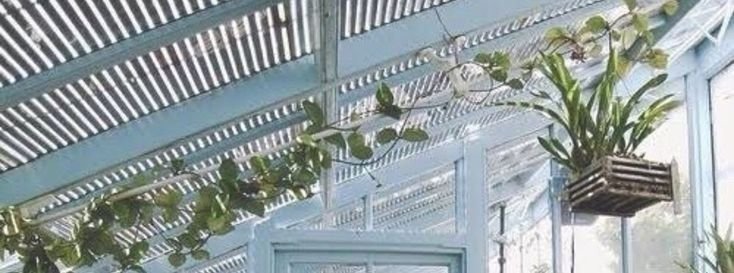urecvu's tweet photo. masuk ht gak ya? #zonauang https://t.co/J22K9InhvZ
