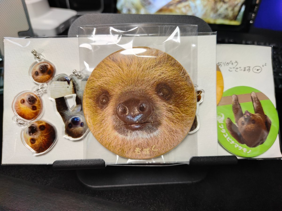 nekozman's tweet photo. ナマケモノあかちゃんガチャコンプセットのもずく顔面缶バッジだが
他の購入者の画像見たら微妙に表情違ってて草 https://t.co/JUxS1Av54x