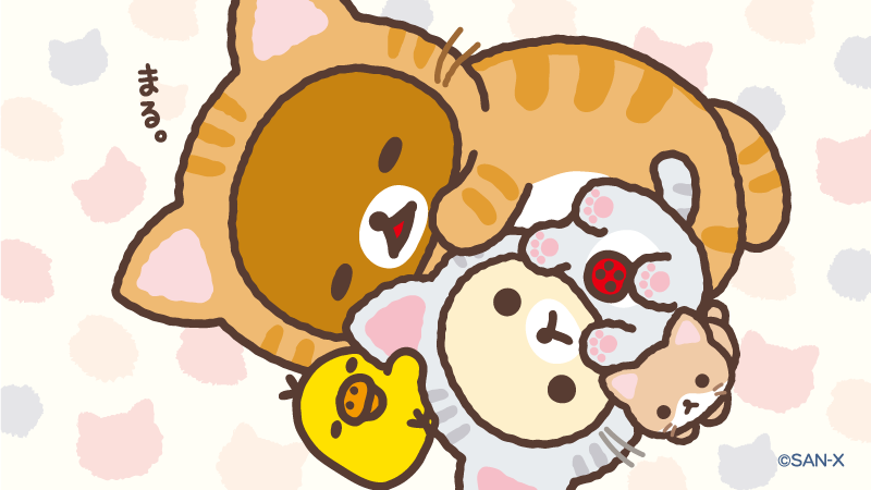 rilakkuma_gyr's tweet photo. 猫になりきってごろごろごろん🐈🐾 https://t.co/vdeBhIr5xN