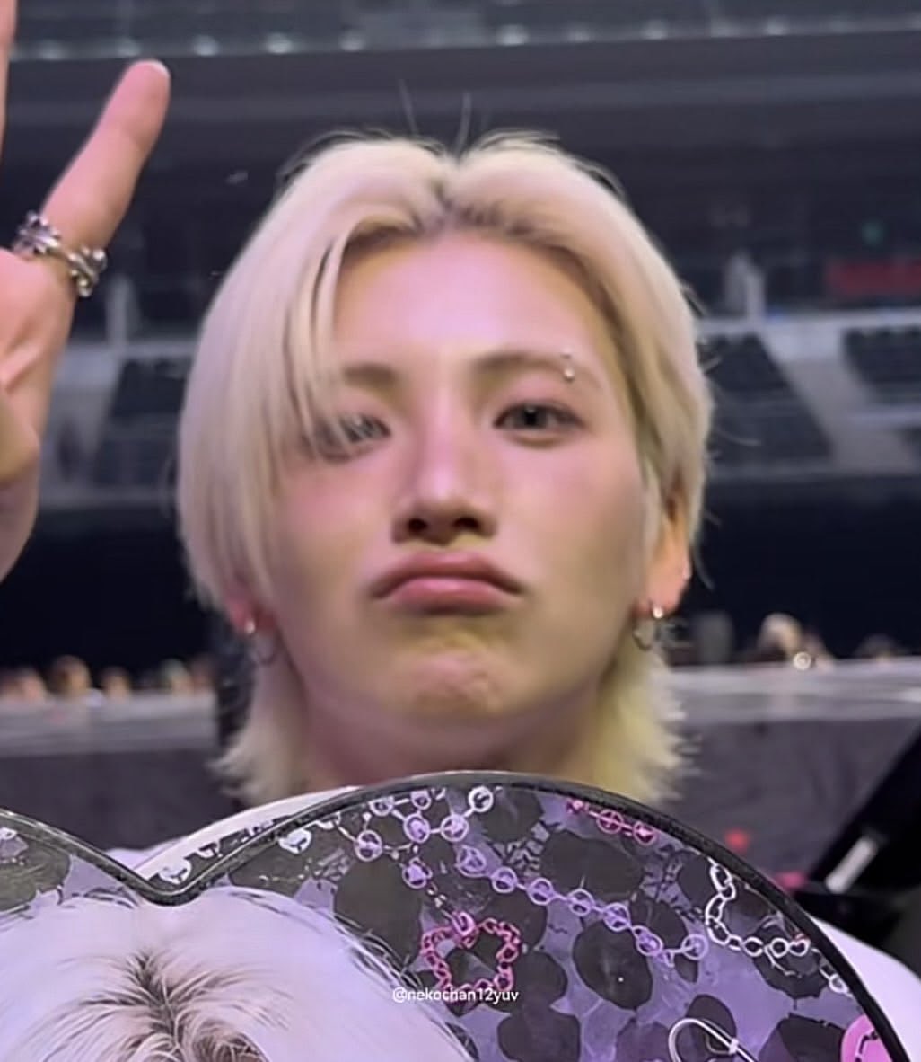 SaraRTulipCat's tweet photo. since my lsd post got attention, let’s do this again 😝

looking for more luné/multi moots! 🐺
🌙 new to luné twt but not twt
🌙 36 (90 liner) 
🌙 INFJ ♎️
🌙 Yuma ult, but ot9! 
🌙multistan: svt, txt, and keyvitup occasionally 
🌙straw page in bio

🫶🏼🤍 &amp; rts! 
#lunétwt #andteam https://t.co/ESlCU02kBF