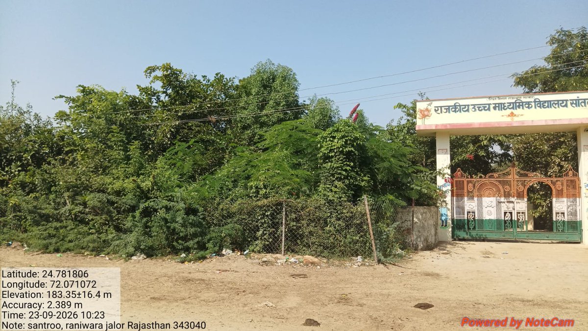 TikamP2181's tweet photo. #जालौर - उपखंड मुख्यालय रानीवाड़ा के निकटतम स्थित राजकीय विद्यालय सातरू में स्कूल के मुख्य गेट झुलते बिजली के तार, हादसे की आशंका @Dmjalore @JalorPolice @RajGovOfficial @RajCMO @rajeduofficial @JdVVNL @JDVVNL_CCC_Jodhpur @JanSamadhaan @RajCMO @madandilawar https://t.co/gFxAVf0Gyc