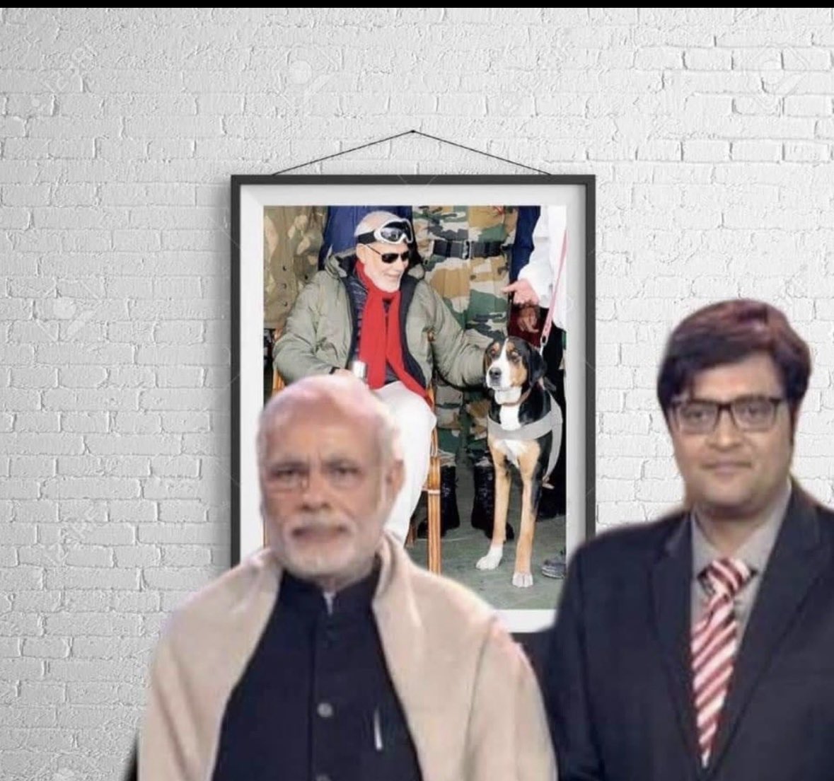 sumit_sarkr's tweet photo. How many dogs can you spot in the picture? Comment the correct answer below! 👇 https://t.co/CPecIKCOLl