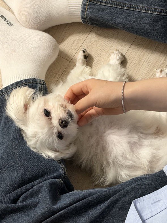 bappuri0's tweet photo. 밥후리의 추석   몰으는 누나들한테 잔뜩 밥알받기 https://t.co/yHhz3ACgGK