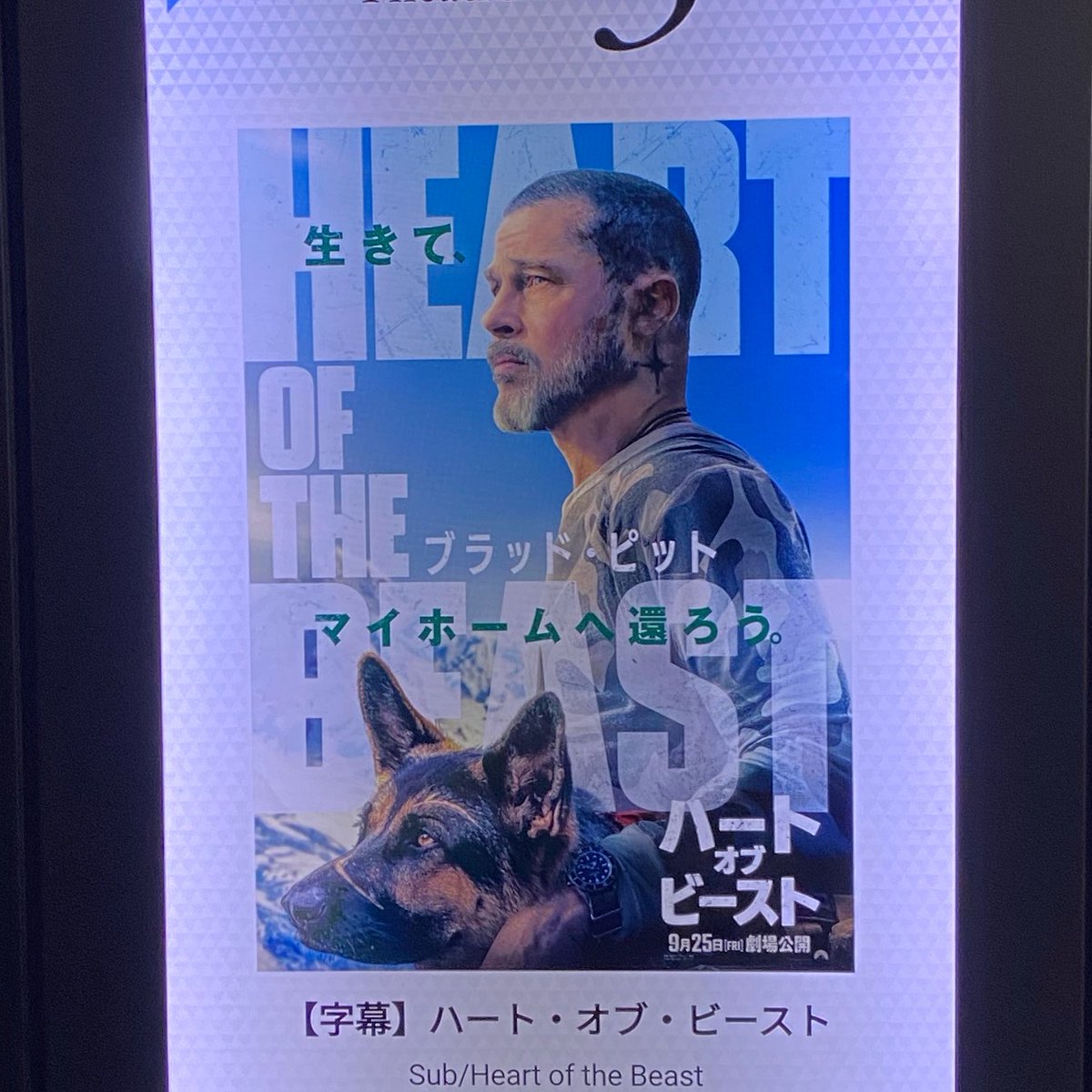WoodsOne's tweet photo. 『ハート・オブ・ビースト』を観ます。 https://t.co/TVryZX8IxV