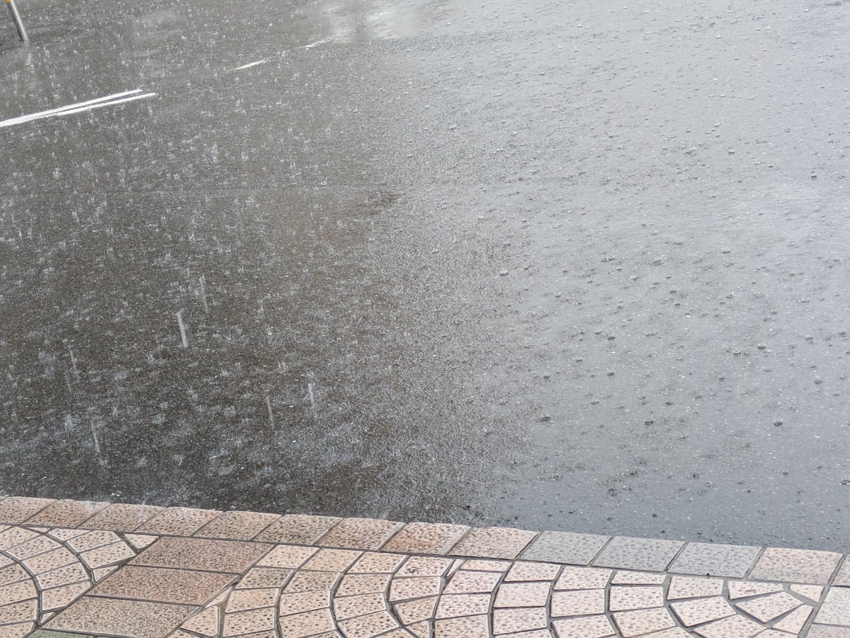 mindmgreen's tweet photo. 久しぶりの大雨です☔
来週半ば頃まで続く予報。 https://t.co/LEmwx5n93w