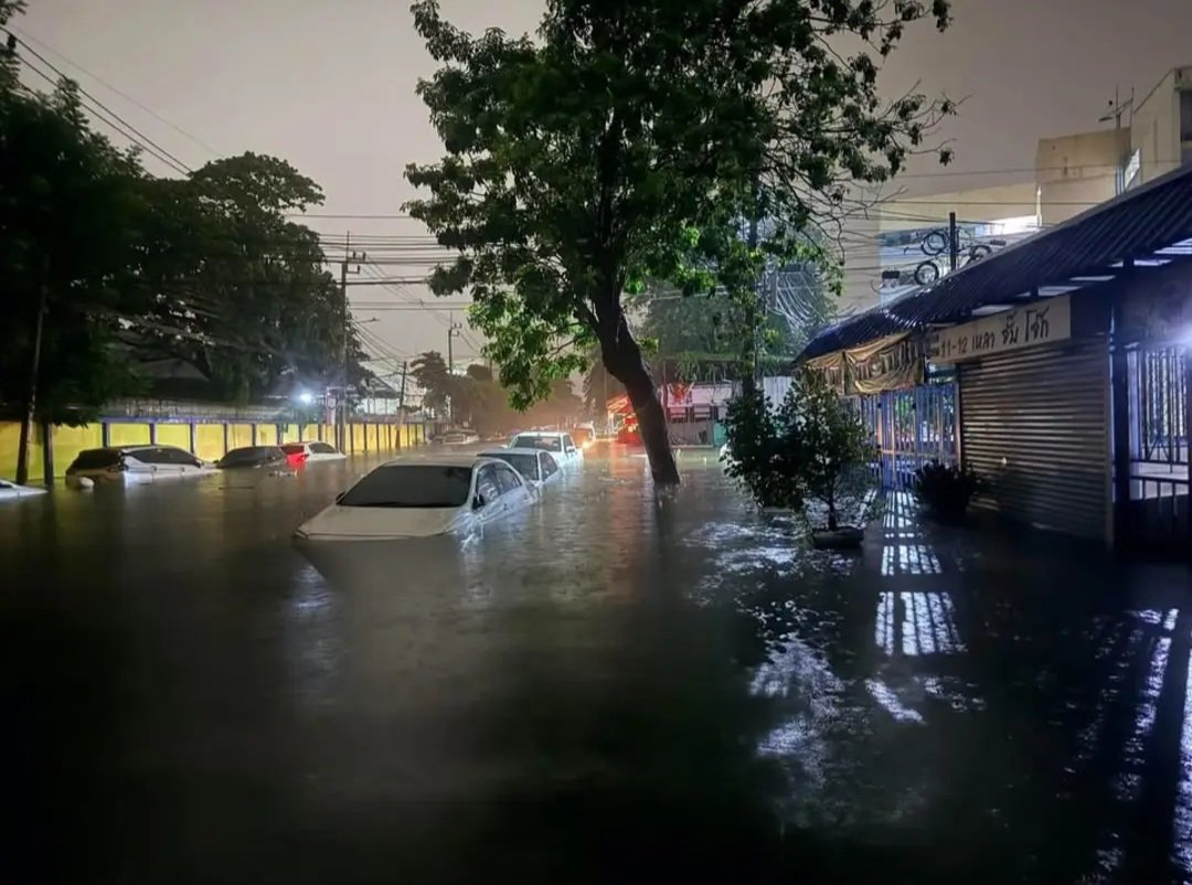 TarotYouuuu's tweet photo. ทุกคนฝากเรื่องนี้ด้วยนะครับ ฝนตกหนักขนาดนี้ สมควรเลื่อนการเลือกตั้งประกันสังคมได้แล้ว น้ำท่วมหนักครึ่งรถ ไม่มีใครออกมาได้ ขอเรียกร้องให้เลื่อนการเลือกตั้งก่อนด้วยนะครับ !!!!!

#น้ําท่วม
#เลื่อนเลือกตั้งประกันสังคม https://t.co/yocu2bgZvr