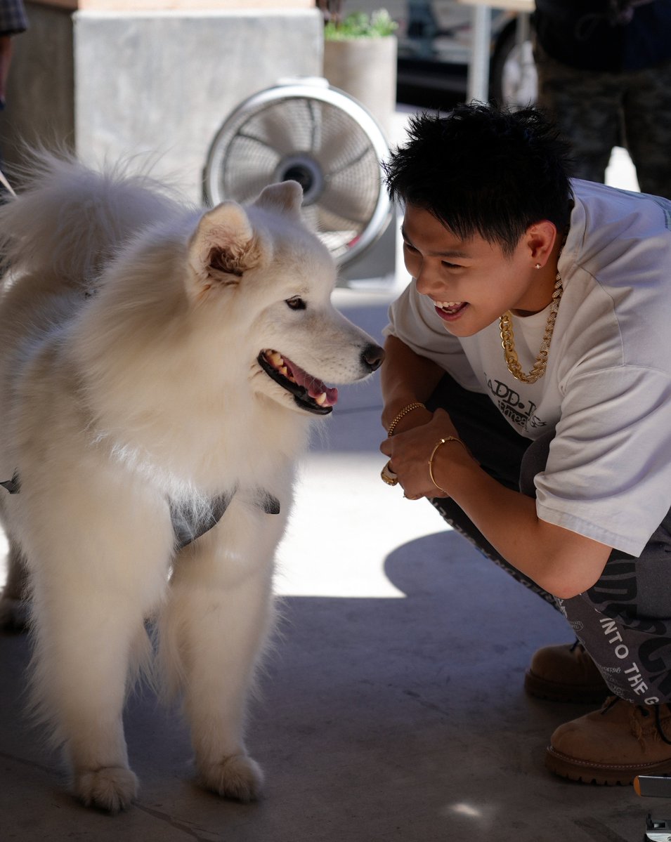 Aozora_BF02's tweet photo. さすがにかわいすぎる🐶🐶 https://t.co/7htgfeagGM