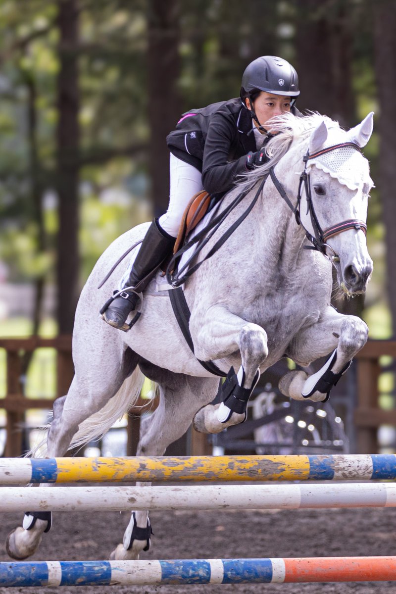netkeiba_asas's tweet photo. シルヴァーソニック白くなりました🐴

今日はRRC障害馬術、明日は馬場馬術に出場する二刀流です⚔️ https://t.co/JHHDSuMgb7