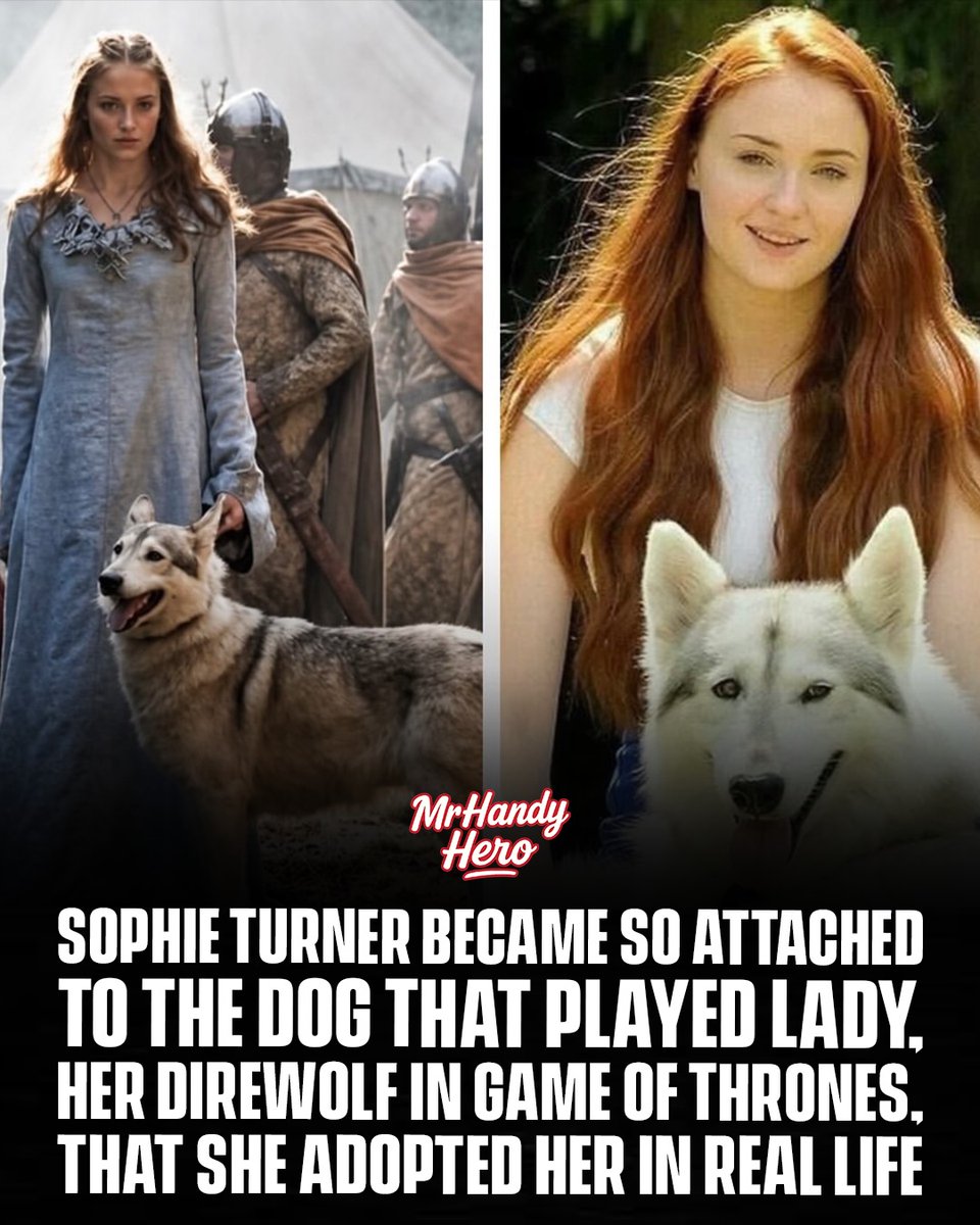 benjaminleeu6qq's tweet photo. Sophie Turner’s bond with Lady went beyond Game of Thrones. The dog who played Sansa Stark’s direwolf became so special to Sophie that she adopted her after filming. Lady went from loyal co-star to beloved family member. https://t.co/JR2aeyrufh