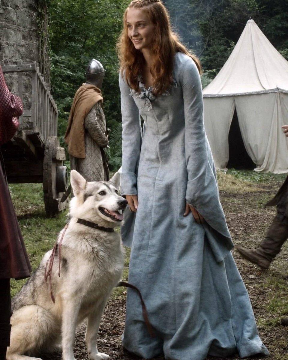 benjaminleeu6qq's tweet photo. Sophie Turner’s bond with Lady went beyond Game of Thrones. The dog who played Sansa Stark’s direwolf became so special to Sophie that she adopted her after filming. Lady went from loyal co-star to beloved family member. https://t.co/JR2aeyrufh