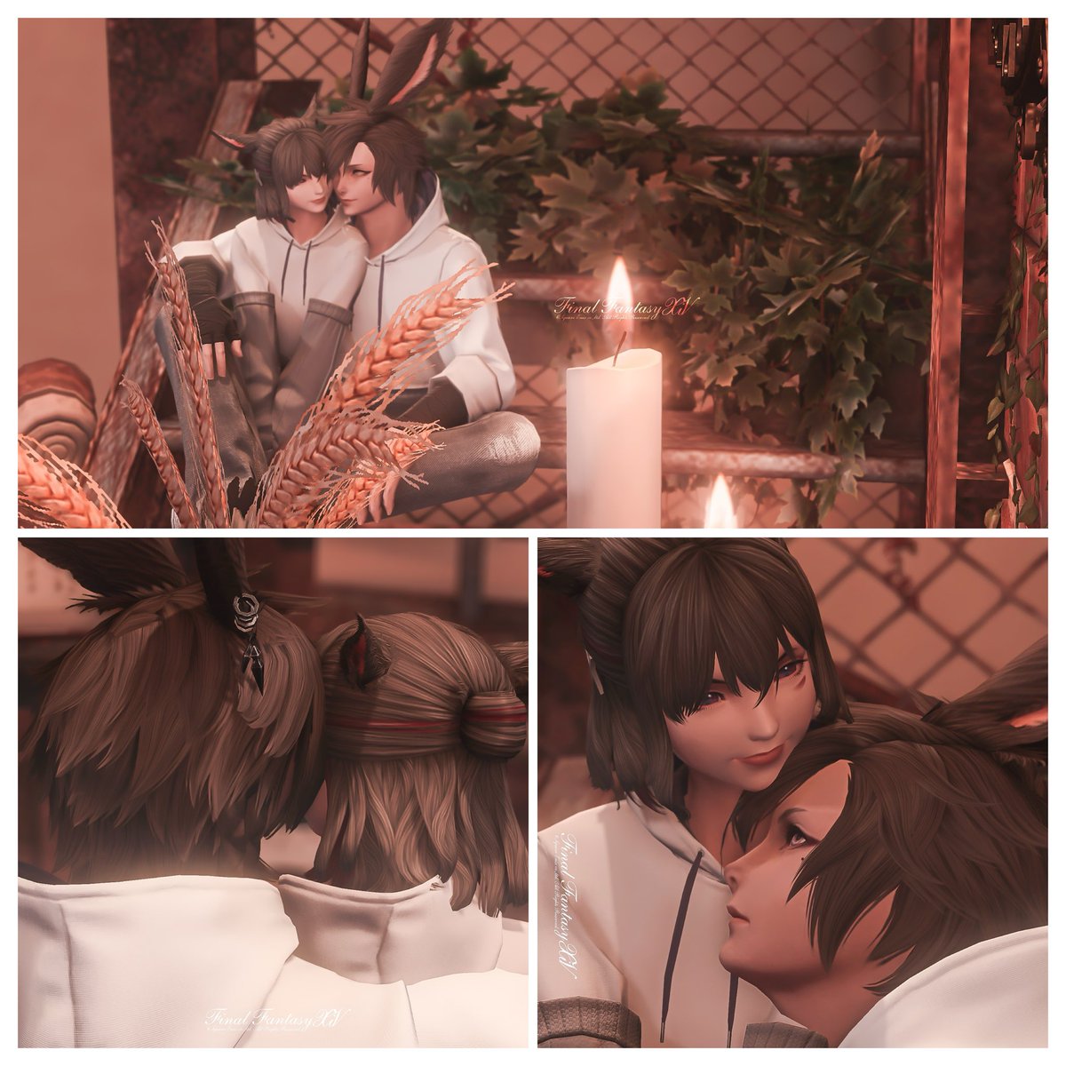 Fiz_FFXIV's tweet photo. 朽ちゆくものにも、美しさは宿る
#FF14 #ヴィエラ #ミコッテ #StudioN_M https://t.co/NRe0Wsb1nq
