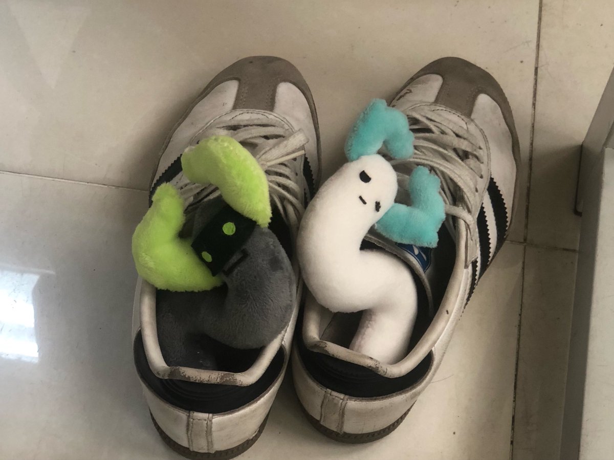 seabugged's tweet photo. worms in my shoes https://t.co/uRgsejL26O
