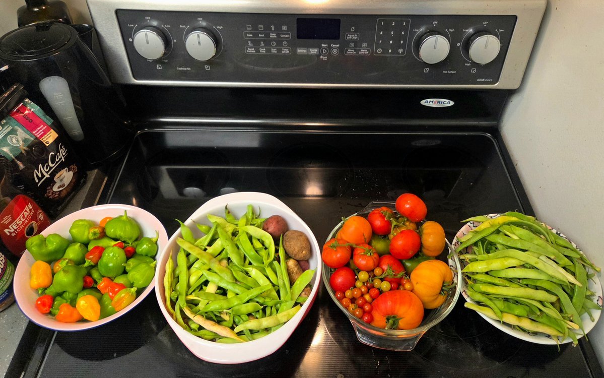ERGardenerChef's tweet photo. It's start of the weekend! It means, I have to cook extra! As usual, we'll be at our Point Roberts 🇺🇸 property this weekend. I'll be doing yardwork, mostly gardening 👩‍🌾 related activities. As for my husband @albert_riopel, likely he'll be doing some cabin building 👷‍♂️ and related hobby activities. 

Anyway, here's what I cooked tonight, and likely our food for the weekend for the three (3) of us: me (@EarlaRiopel), my husband, (@Albert_Riopel), and my 78 years old mom.

My mom has a strict diet due to health issues (high blood pressure, diabetes, arthritis & Alzheimer), so I have to watch what I give her. I usually cooked food that she likes and avoid negative health complications. So far, it has been over two years, and she never caught any flu or common colds. She eats well; double or sometimes triple  of the portions of my own food consumption. 

Anyway, before this writing gets too long, here's what I cooked tonight and for the rest of the weekend.

Main Menu: 
*Seafood Medley on Coconut with Mixed Vegetables
* Fried Marinated Fish
* Fried Prawns
* Baked Chicken (see prior post)
* Tortellini Beef Pasta (see prior post)

Side Dish:
*Rice

Ingredients:
- Seafood Medley 
- Mixed Vegetables 
- Fish 
- Prawns
- Coconut Milk 
- Herbs 🌿  &  Spices
- Rice

Cooking Instructions: 

- First, fry Seafood Medley on an olive oil until 75% to fully-cooked. 
- Then, add herbs 🌿 & spices (parsley, oregano, salt, pepper, garlic, and onions); fresh or powdered are both fine. 
- Add few drops of soya sauce and oyster sauce (optional).
- Add the mixed vegetables. 
- Then, add a can of coconut milk, and stir. 
- Taste it. If it's too salty, add a small amount of milk. If it's too bland, add soya sauce or salt. 

- On a separate pan, fry the fish (marinated on salt, pepper, garlic, parsley & onions). Once fried, put in a serving platter.

- Also, on a separate pan, fry the prawns and put them in a serving platter.

- If possible, cook the 🍚 rice, while cooking the above main dishes.

Finally, serve all the food at the same time.

Enjoy! 🙂

Fun Facts: 
- Some of the mixed veggies were from our gardens in our Point Roberts 🇺🇸 & Lantzville 🇨🇦 properties. 
- The zucchinis were from my eldest daughter. 

I'll post a few photos 📸.