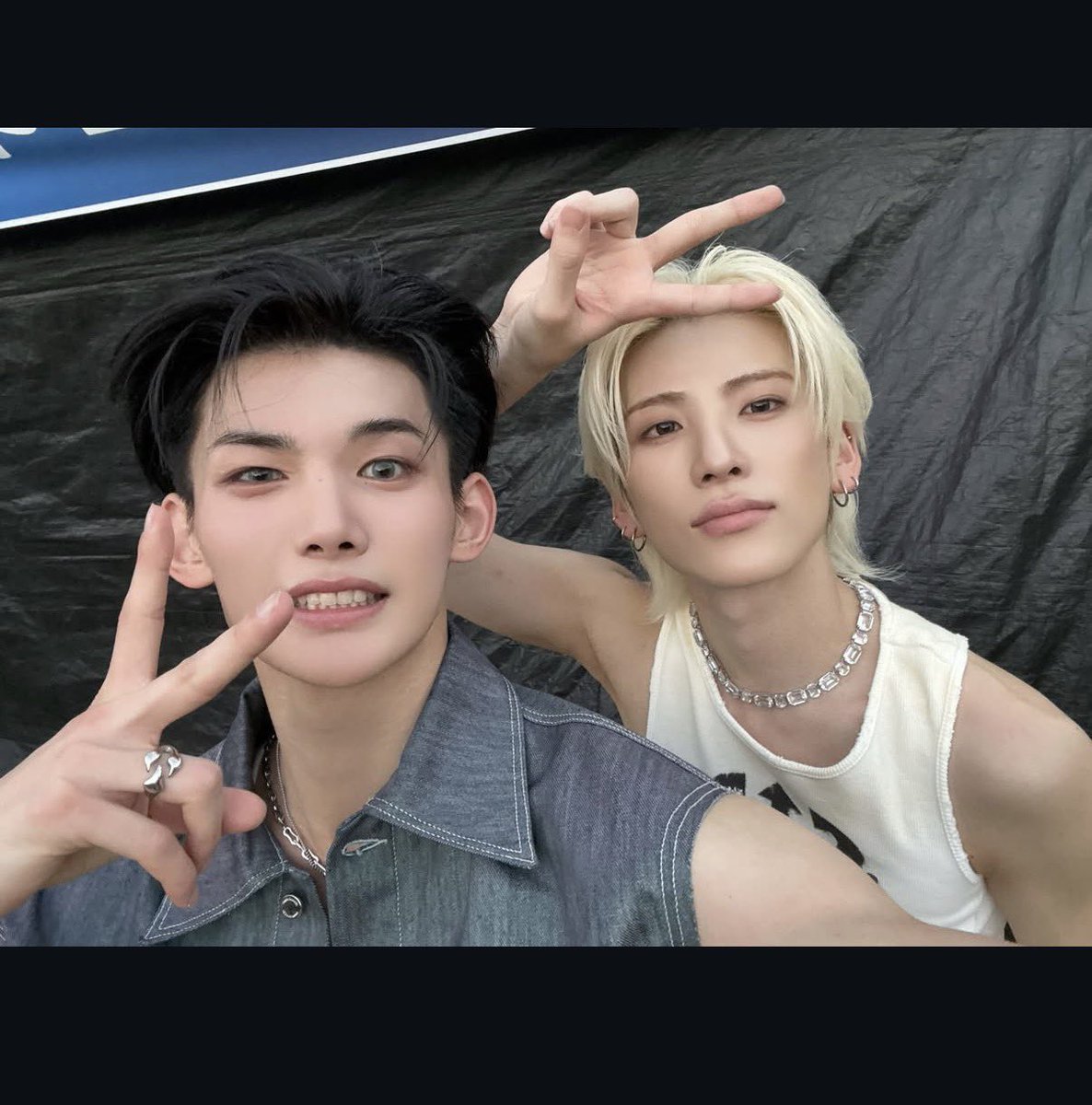 SaraRTulipCat's tweet photo. oh god do they know how much i love them? 😭😭😭😭 https://t.co/P5p5CVyZgg