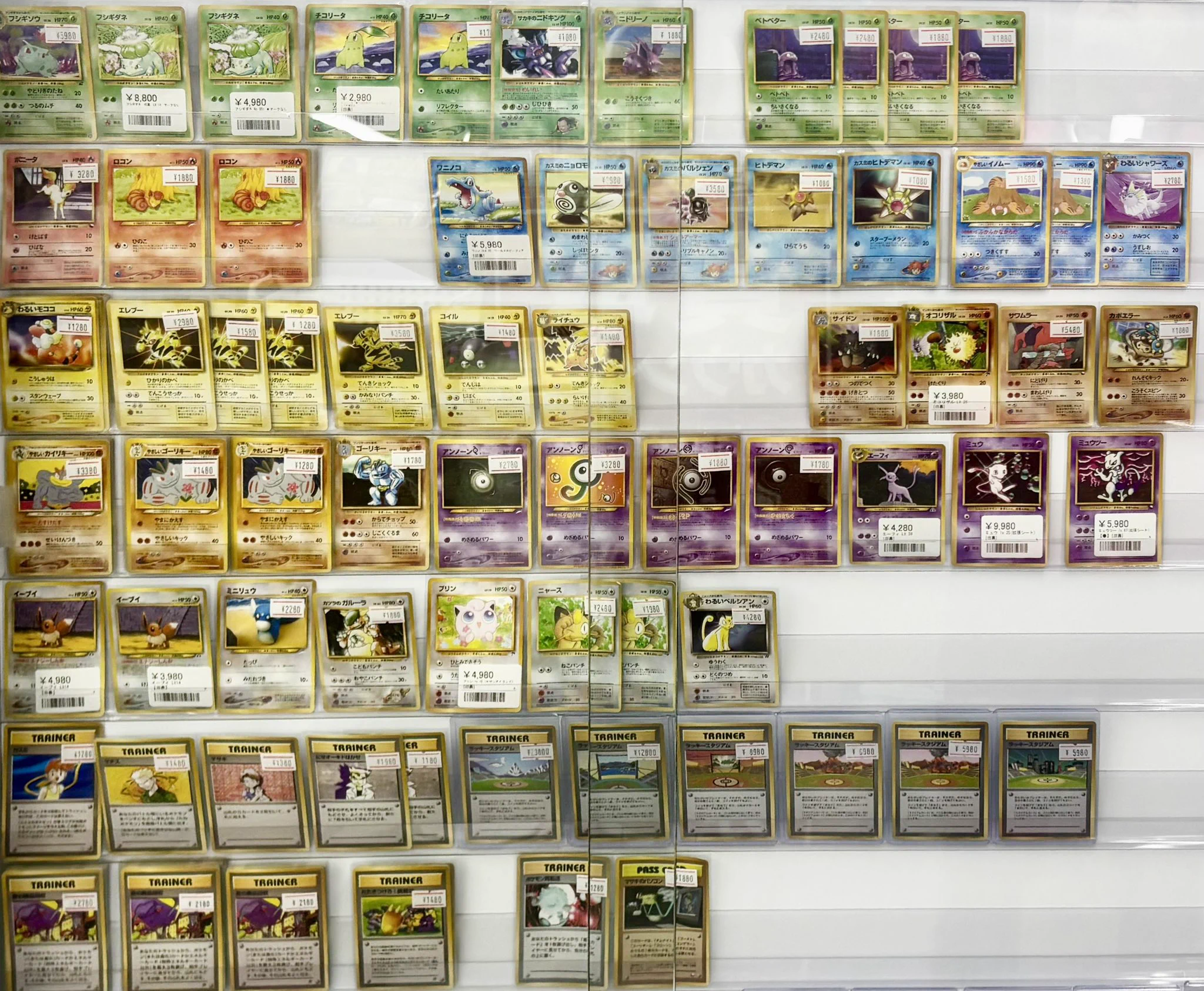シンソク新宿店@旧裏ポケカ 遊戯王 レトロ カードショップ 買取 PSA