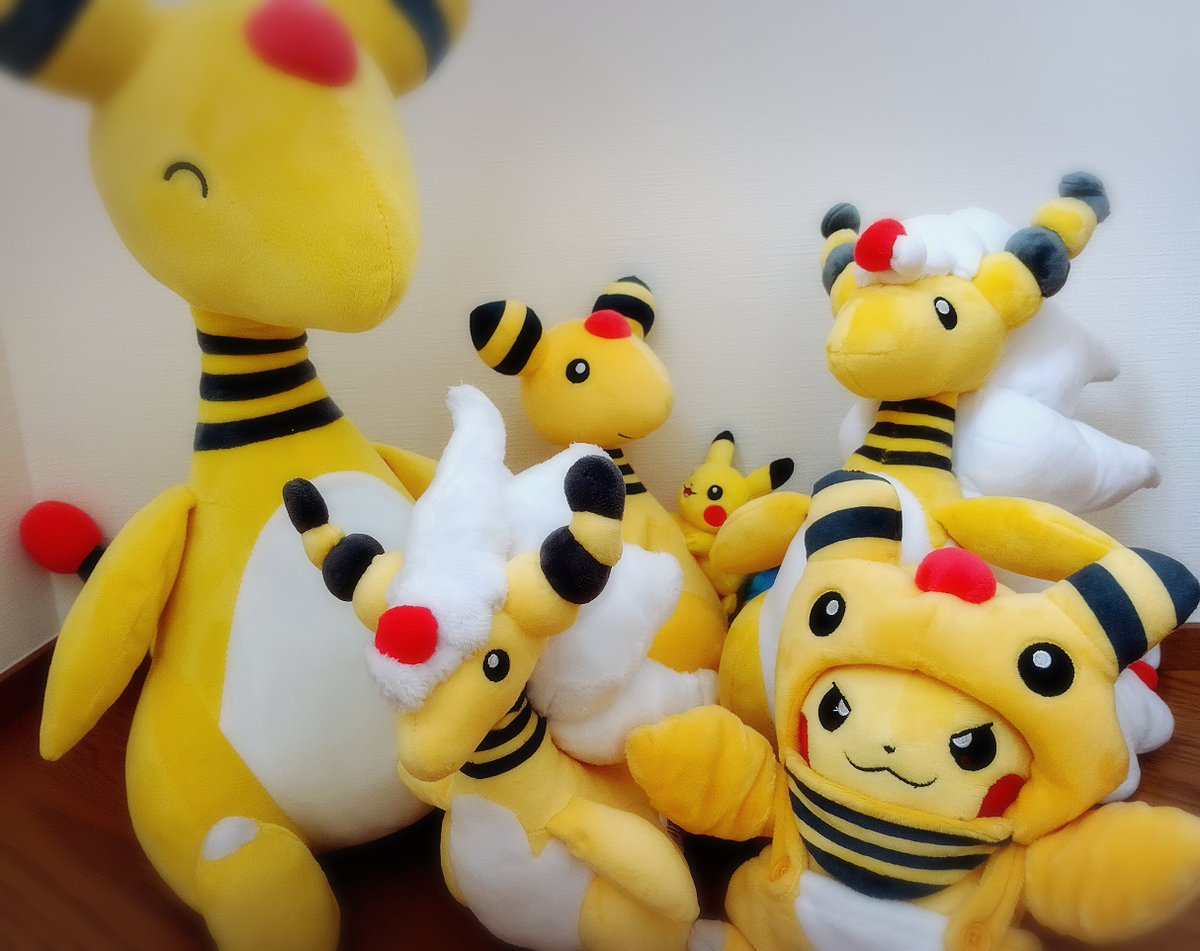 Keetan0216Mee's tweet photo. デンリュウまみれで幸せ…🥰
（グッズ整理心折れてきて現実逃避） https://t.co/9YBsT66g8b