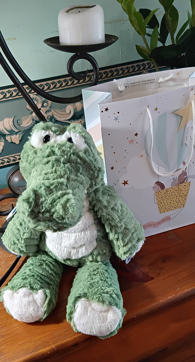 roo_tarded's tweet photo. Birthday present for my 8 month old  baby boy cousin https://t.co/HgoMAj1BlA