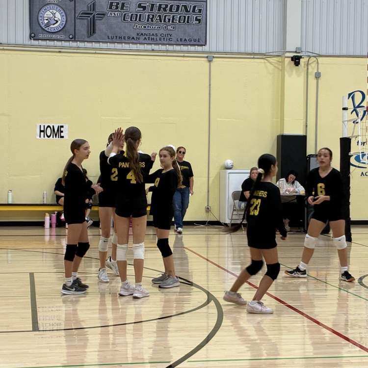 SPLSPanthers's tweet photo. Tonight was 8th Grade Recognition! 🖤💛🖤 We are so proud of our girls! Way to go 7/8 volleyball girls! https://t.co/FW7TMkDVY6