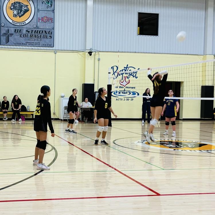SPLSPanthers's tweet photo. Tonight was 8th Grade Recognition! 🖤💛🖤 We are so proud of our girls! Way to go 7/8 volleyball girls! https://t.co/FW7TMkDVY6