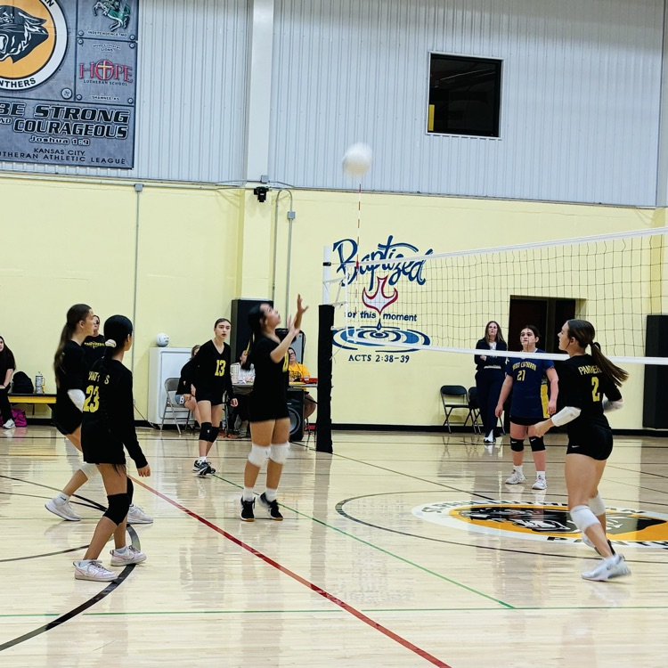 SPLSPanthers's tweet photo. Tonight was 8th Grade Recognition! 🖤💛🖤 We are so proud of our girls! Way to go 7/8 volleyball girls! https://t.co/FW7TMkDVY6