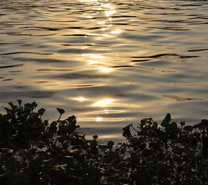 JaneloUPonceol9's tweet photo. Sebastian Michael Julian Scarlett unforgettable vibes Smiles laughs and jorge margaret🐻 https://t.co/VrSNs5HzfX