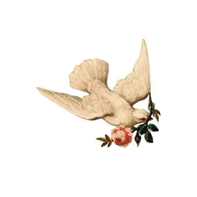 CAPTIVELARK's tweet photo. ⠀ ⠀  ༄  :  𝓶y cage has many rooms, damask and dark, nothing there sings, 𝐍𝐎𝐓 𝐄𝐕𝐄𝐍 𝐌𝐘 𝐋𝐀𝐑𝐊 .  🕊️ ⠀ https://t.co/3say4LQoOP