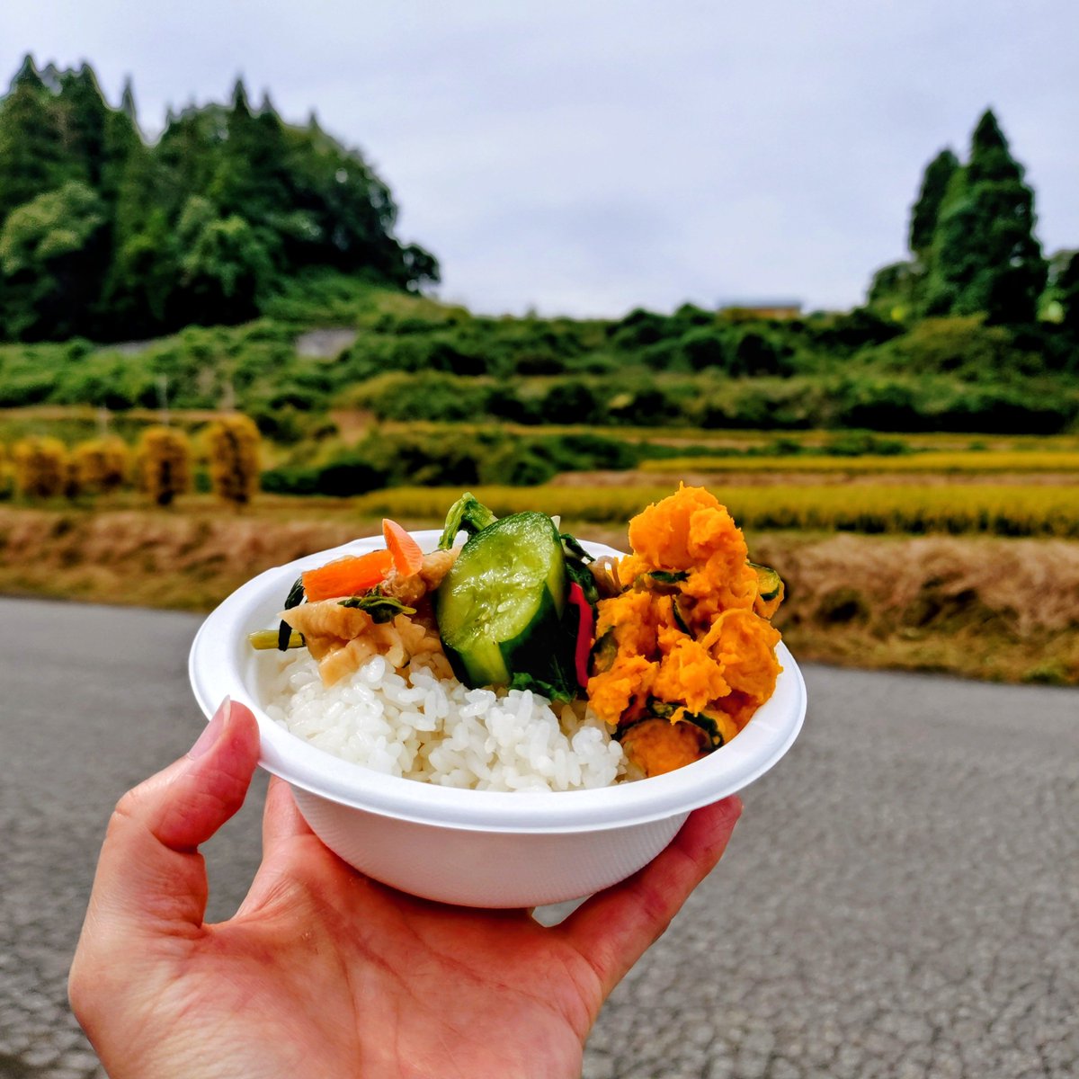 ohkura_sake's tweet photo. 四ヶ村の棚田🌾棚田サポーター稲刈り

ギリギリ雨も上がって、楽しいイベントになりました！稲刈りが昨日終わったばかりの農家さんの新米！ツヤピカのはえぬき！農家のおかーさんお手製のおかず✨️

新米販売まで今しばらくお待ちくださいね😋 https://t.co/kOSJrKaLiM