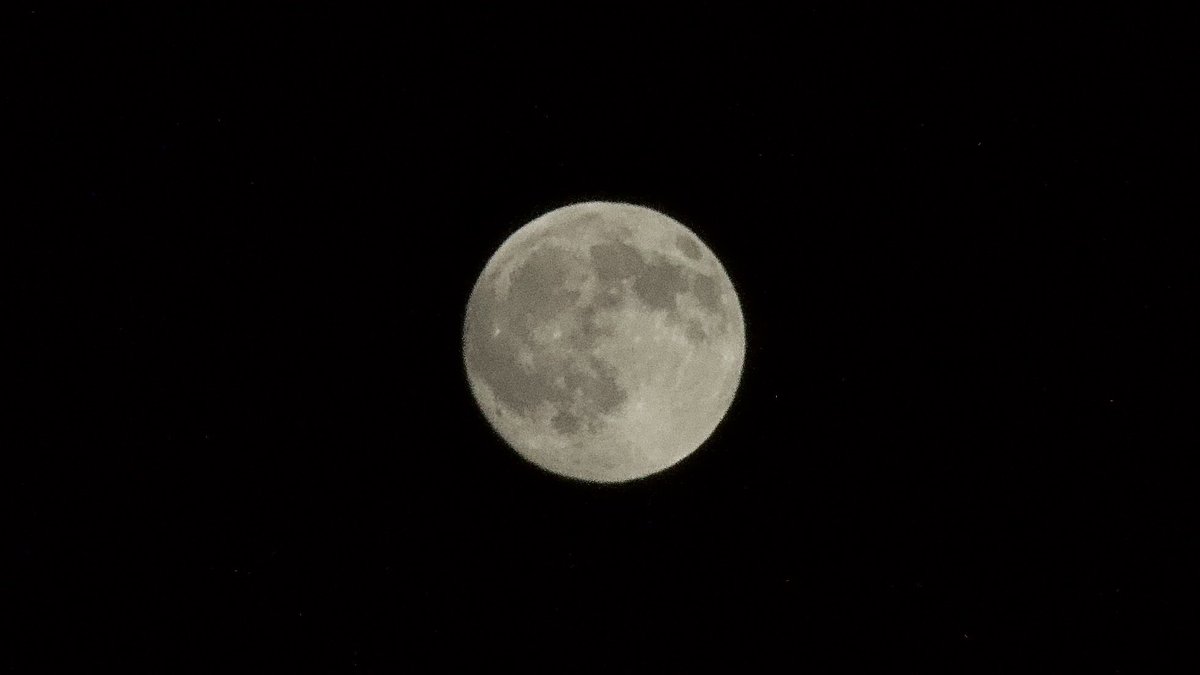 LavenderXLovely's tweet photo. Still telling the moon things 
I wish I could tell you. https://t.co/wUfTFAsKWa