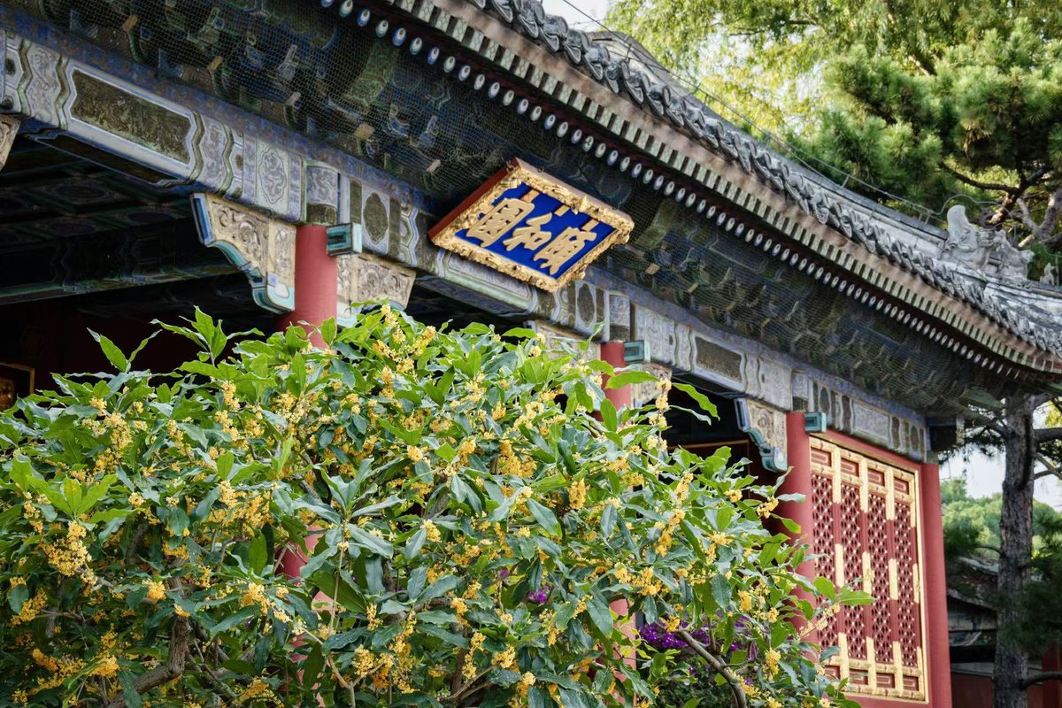 DailyBeijing's tweet photo. On the first day of the Mid-Autumn holiday, Beijing's municipal parks and the Museum of Chinese Gardens and Landscape Architecture received a total of 251,300 visitors. Temple of Heaven Park, Summer Palace and Taoranting Park topped the visitor list.
#BeijingParks #MidAutumnTravel