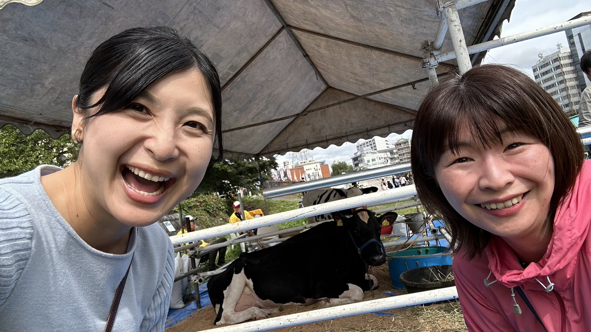 IBC_radio's tweet photo. このあと午後1時〜
土曜日どぉよ？IBCおでかけラジオ放送です📻
きょうは中津川で開催される
くずまき高原牧場in中津川ミルク&amp;ワインフェア
の様子をたっぷりお伝えします！！

牛さんもいるよ🐄
こっち見ているよ！ https://t.co/PIGU7mOcSv