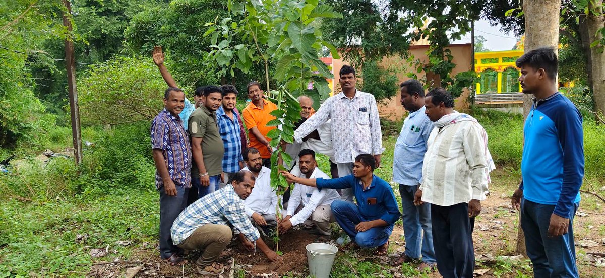 UttamPanigr's tweet photo. ସେବା ସଂକଳ୍ପ ଅଭିଯାନ 2026, ଆଜି ରାମଚନ୍ଦ୍ରପୁର ପଞ୍ଚାୟତ ଭାଲିଆଝୋଲା ଗାଁ ର ନୀଳକଣ୍ଠେଶ୍ଵର ମନ୍ଦିର ପାଖରେ ବୃକ୍ଷରୋପଣ କାର୍ଯ୍ୟକ୍ରମରେ ଯୋଗ ଦେଲି।
#BLSANTOSH 
#MOHANMAJHI 
#MANMOHANSAMAL https://t.co/dXJcBaJfmQ