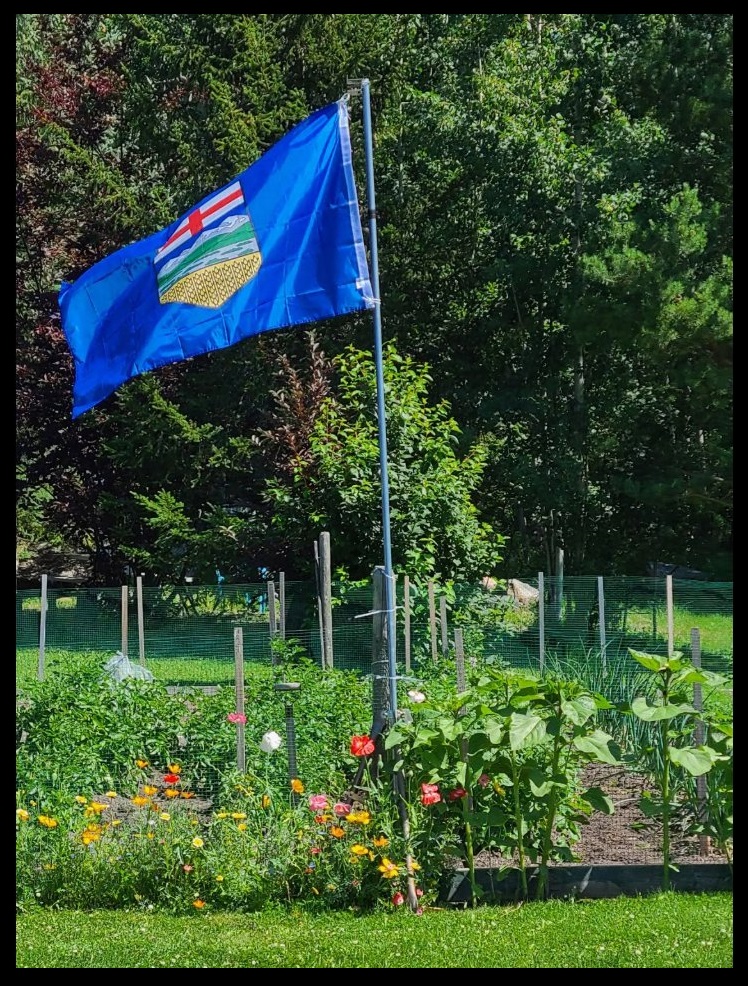 Valerie4freedom's tweet photo. The vote is coming.
Tensions are growing.
Groups are splitting.

That’s okay.
We don’t have to sound the same.

We have to want the same thing:
a province that answers to us.

That’s the unity that counts.

Choose Alberta. ❤️ https://t.co/a3ilY0Dziu