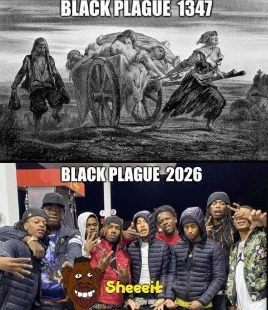 DILLIGAF666_'s tweet photo. 💯🐵🐵 https://t.co/Ct9ADabEtV