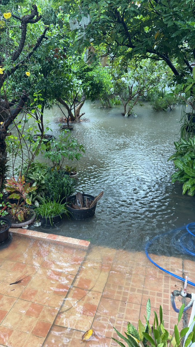 urummr's tweet photo. #เลื่อนเลือกตั้งประกันสังคม ด้วยค่ะ จะออกไปใช้สิทธิ์ได้ยังไงก่อน ดูสภาพ https://t.co/54uKQbEYiq