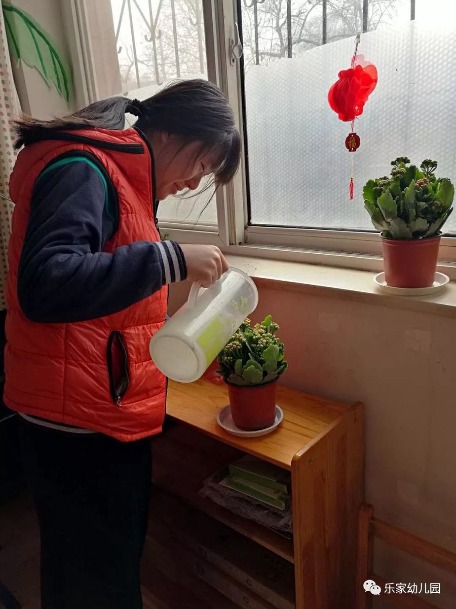 EloisBusico1's tweet photo. Caught my neighbor’s kid helping me water the balcony plants this morning—small kindnesses make my whole week brighter https://t.co/NwvIYPdIvX