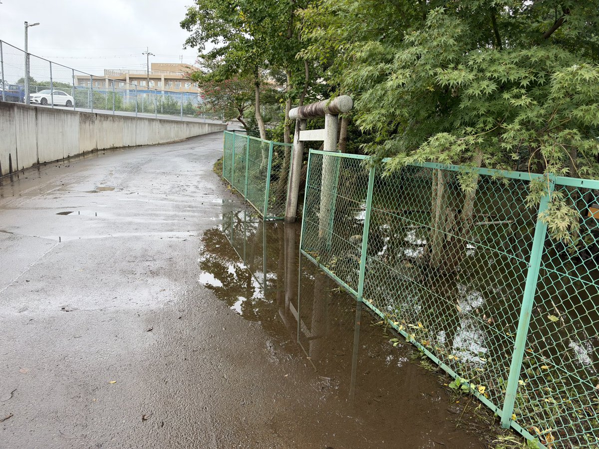 jibansaigai's tweet photo. 松戸市串崎新田、厳島弁財天の水没その後。
一昨日には前面道路の冠水は解消していましたが、再び一部が冠水状態に。車両の通行は可能。新たな冠水跡は最大で30cm 程度でしょうか。
側溝の水は、道路面下ヒタヒタ状態にあります。
落葉が多いので、どうか台風26号接近前に、側溝清掃をお忘れなく。 https://t.co/RBkedOSMxM