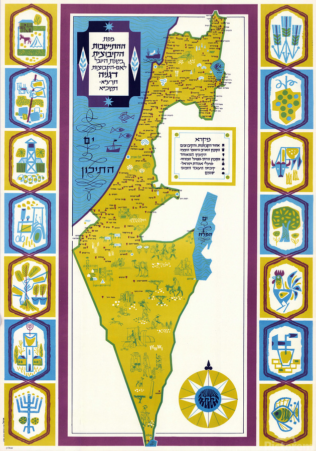 dor6u8's tweet photo. Early statehood Israel is such an interesting period to read or look at pictures about https://t.co/UnYDoG9mSX