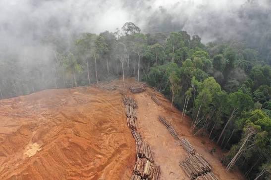 Eco365SI's tweet photo. We inherited forests we didn’t plant.
Rivers we didn’t create.
Soils we didn’t build.
An atmosphere we didn’t design.
And we are responsible for what we leave behind.

The planet is not an inheritance to consume. It is a responsibility to pass on.
#ClimateActionNow https://t.co/zbbAEHTNpK