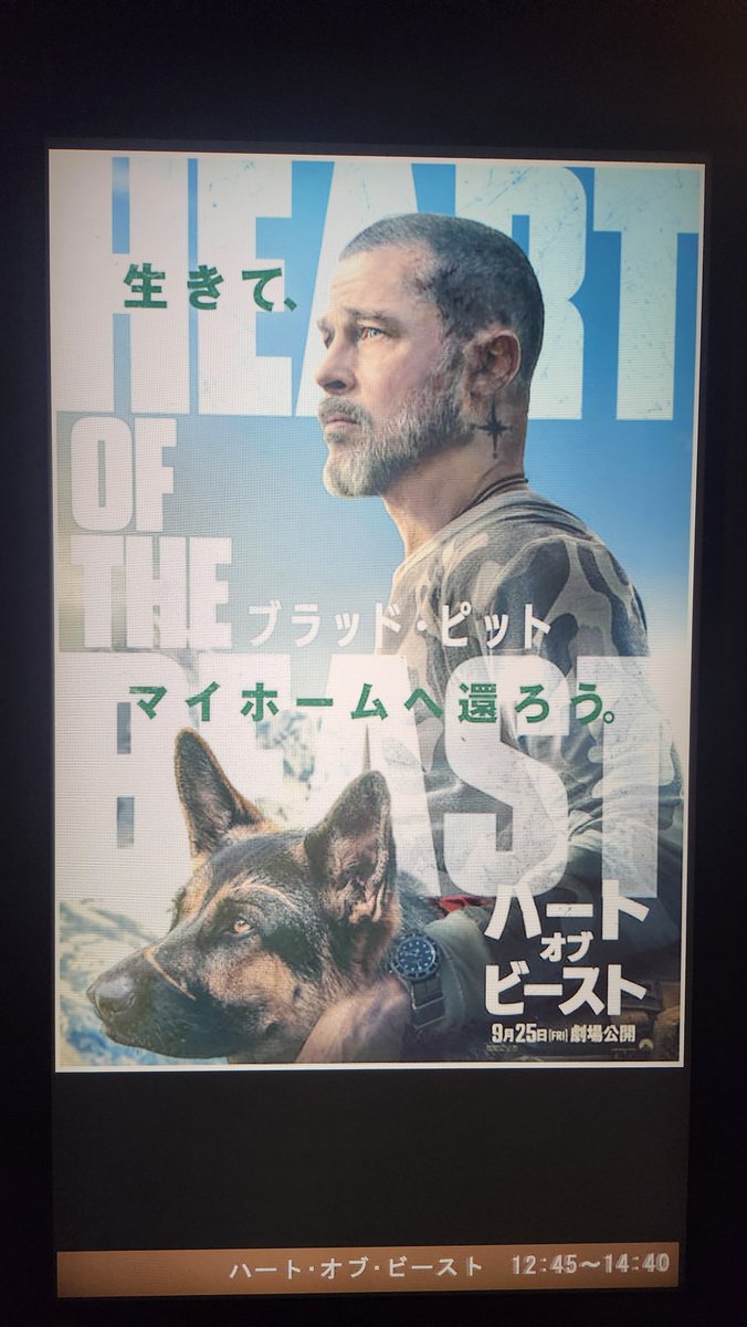 Eternal_colla's tweet photo. 🐺イッヌ映画 https://t.co/0k95HFozGf