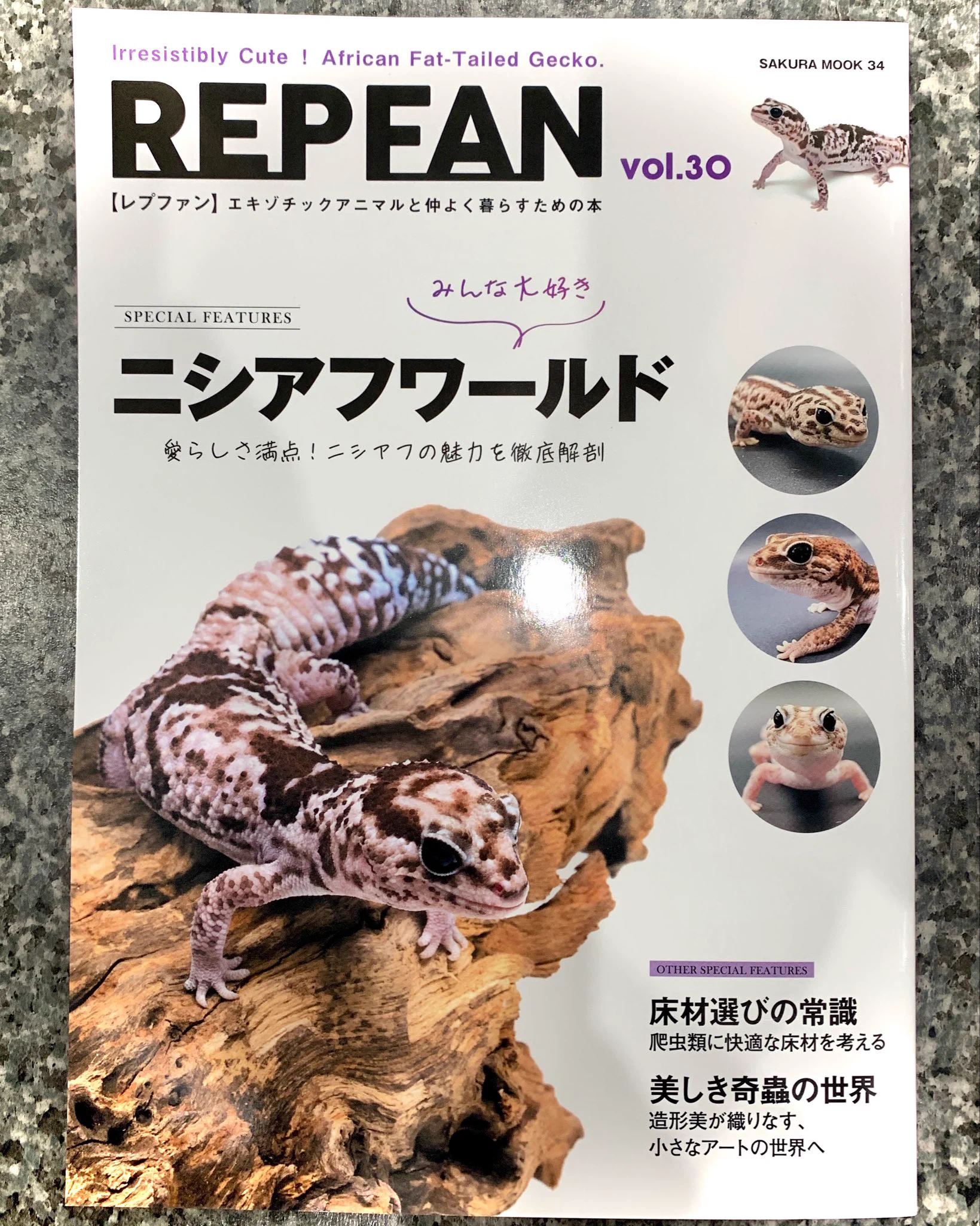 ハープタイル レプリカシリーズ クロイワトカゲモドキ Herptile Lovers(ハープタイルラバーズ) on X: 