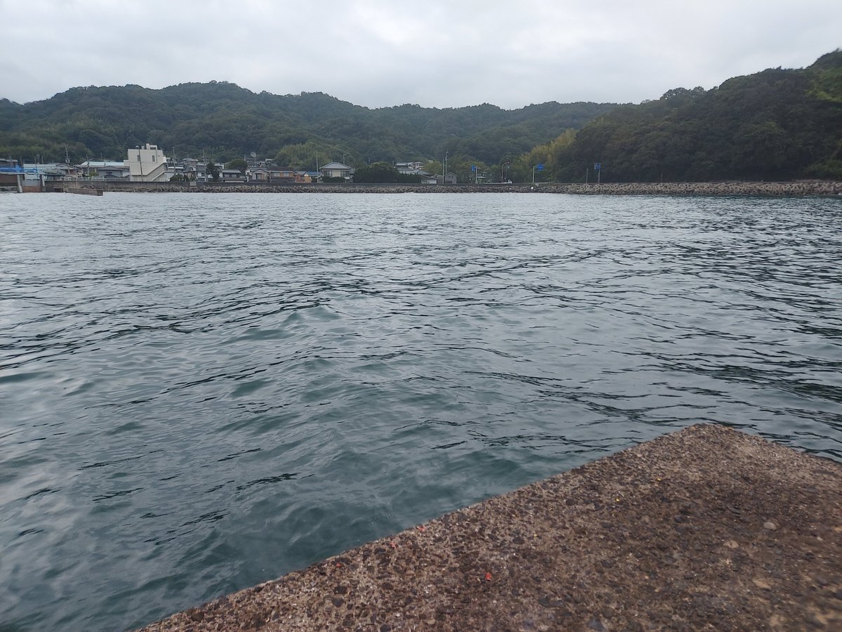 idecchi0810's tweet photo. なんか、雲行きが怪しいんで撤収しました。私以外誰もいないし。
海は結構荒れてました😭
けっこう、リーダー切られてしまった。
キジハタ、好きなんで釣れてよかった。 https://t.co/TjDiUYz6WS